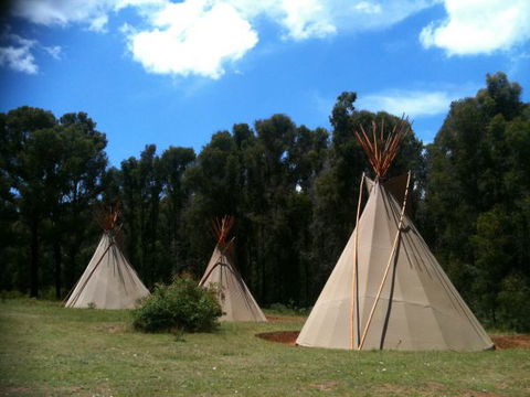 Kinglake Forest Adventures Camp - Kawana Tourism 0