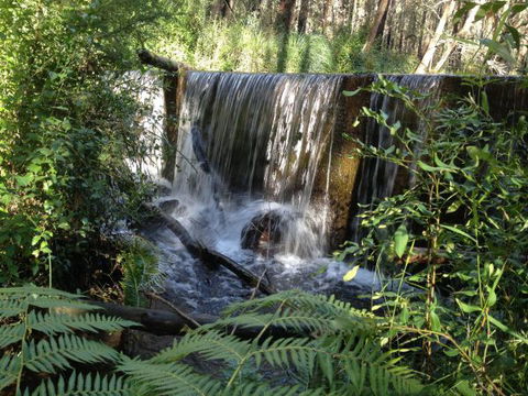Kinglake Forest Adventures Camp - Kawana Tourism 1