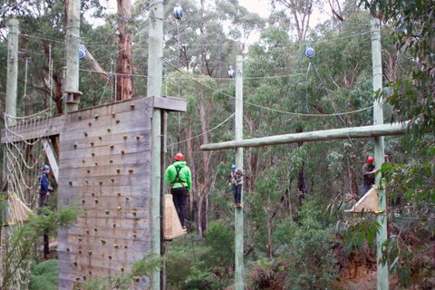 Kinglake Forest Adventures Camp - Kawana Tourism 2
