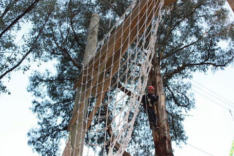Kinglake Forest Adventures Camp - Kawana Tourism 4