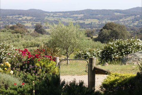 L'Oliveraie - Kawana Tourism 1