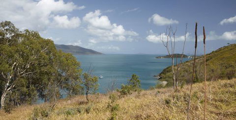 Molle Island National Park (Whitsundays National Park) Camping Ground - Kawana Tourism 1