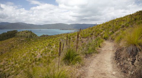 Molle Island National Park (Whitsundays National Park) Camping Ground - Kawana Tourism 2