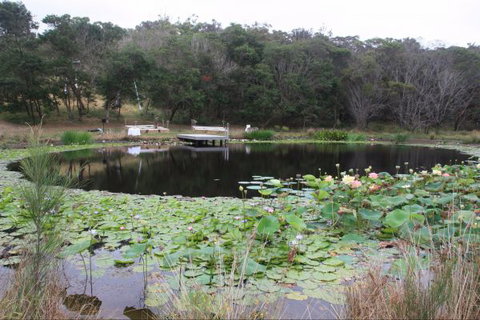 Murrah Luxury Holiday Accommodation - Kawana Tourism 8