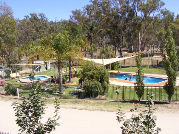 Bearii ACT Kawana Tourism