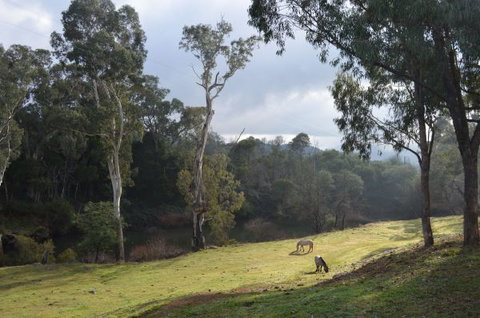 Nug Nug Wah Homestead - Kawana Tourism 2