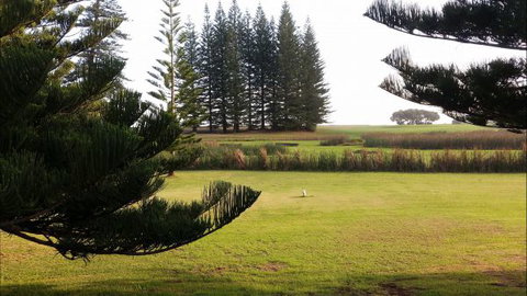 Seaview Hotel And Cottages Norfolk Island - Kawana Tourism 1