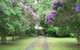 Serendip River Retreat - thumb 0