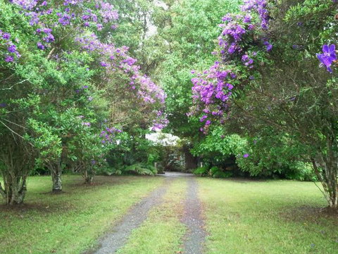 Serendip River Retreat - Kawana Tourism 0