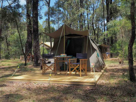 Tall Trees Camping On The Great Ocean Road - Kawana Tourism 0