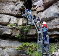 Takarakka Bush Resort Carnarvon Gorge - Kawana Tourism