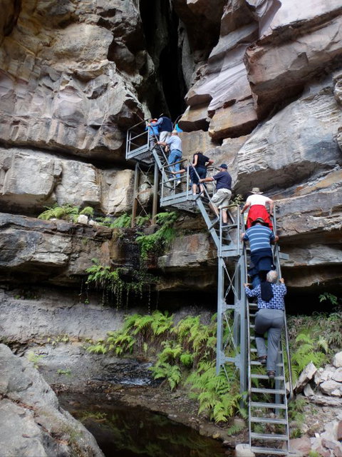 Takarakka Bush Resort Carnarvon Gorge - Kawana Tourism 0