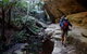 Takarakka Bush Resort Carnarvon Gorge - thumb 6