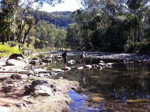 Takarakka Bush Resort Carnarvon Gorge - Kawana Tourism 9