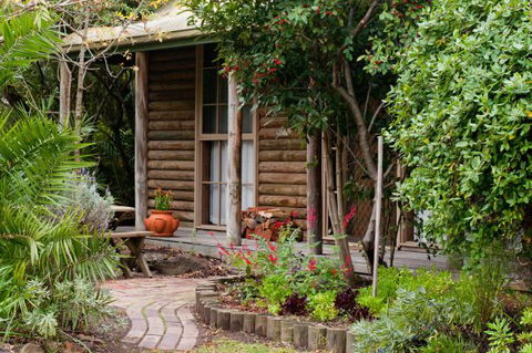 Ti-Tree Village Ocean Grove - Kawana Tourism 1