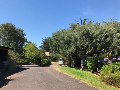 Ti-Tree Village Ocean Grove - Kawana Tourism 9