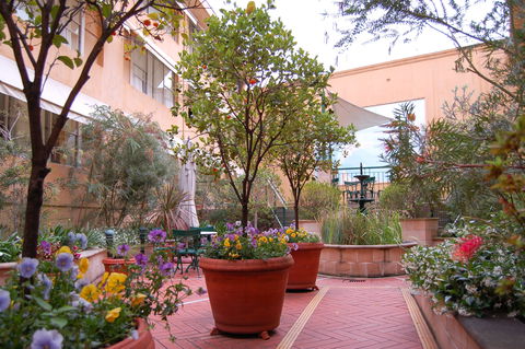 Arts Hotel Sydney - Kawana Tourism 2