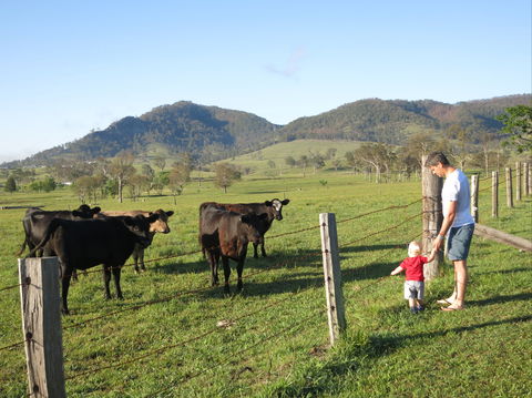 Barrington Hideaway- River Cottages - Kawana Tourism 6