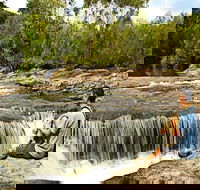 Kingfisher Pool campground - Kawana Tourism