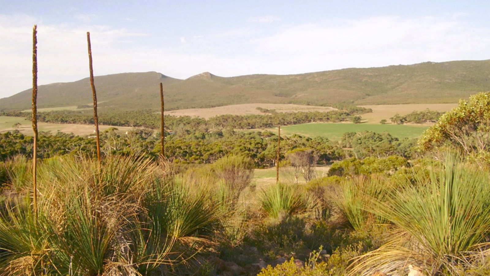  Kawana Tourism