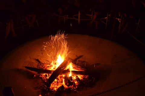 Mundubbera Three Rivers Tourist Park - Kawana Tourism 8