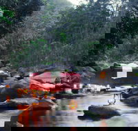 nightfall  camp - Kawana Tourism