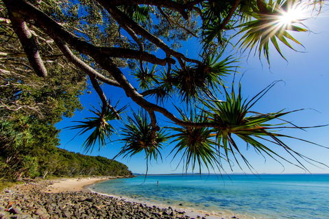 Noosa Caravan Park - Kawana Tourism 2