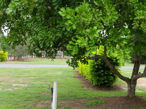 Secura Lifestyle North Gold Coast - Kawana Tourism 8