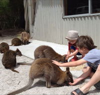 The Patriarch Wildlife Sanctuary Camping Ground - Kawana Tourism