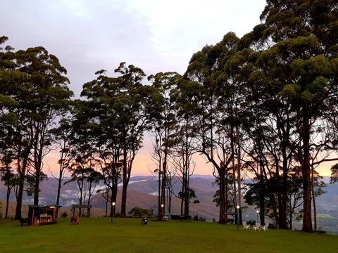 Aaronlee Retreat - Kawana Tourism 1