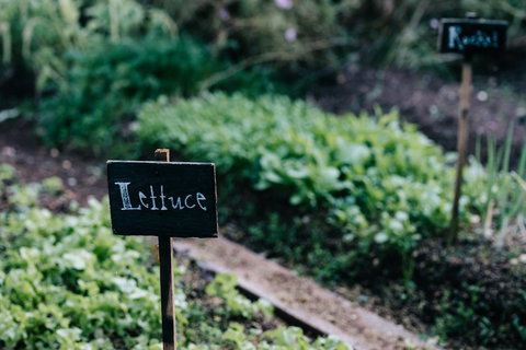 Acre Of Roses - Kawana Tourism 9