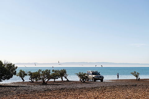 Camping At Point Lowly & Fitzgerald Bay - Kawana Tourism 0
