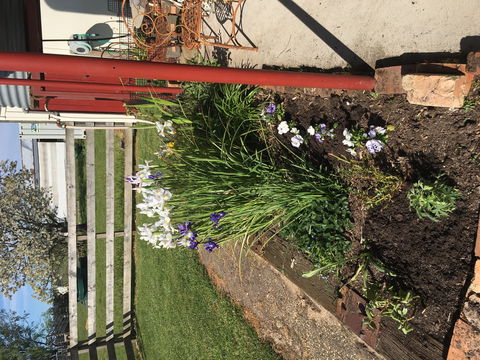 Fairview Bed And Breakfast Cottage - Kawana Tourism 2