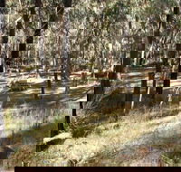 Greenbah campground - Kawana Tourism