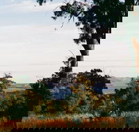 Hilltop Barn at Swan Bay - Kawana Tourism