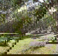 Illaroo group camping area - Kawana Tourism