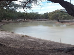Book North Bourke Accommodation Vacations Kawana Tourism Kawana Tourism
