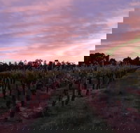 Milawa Vineyard Views - Kawana Tourism