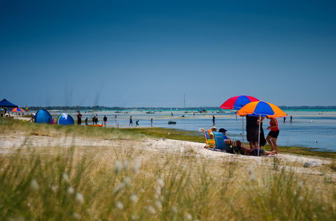 Rosebud Foreshore Camping - Kawana Tourism 0