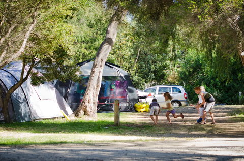Rosebud Foreshore Camping - Kawana Tourism 2