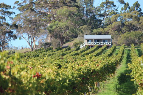 The Sleeping Lady Private Retreat - Kawana Tourism 1