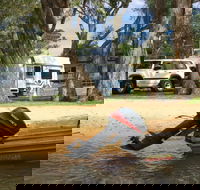 Willow Bend Caravan Park - Kawana Tourism