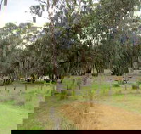 Ben Halls campground - Kawana Tourism