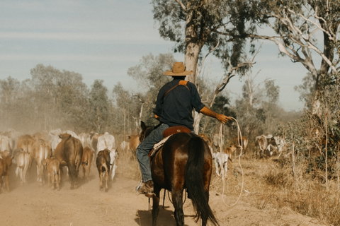 Bullo River Station - Kawana Tourism 0