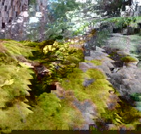 Fernhook Falls Camp at Mount Frankland South National Park - Kawana Tourism