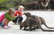 The Patriarch Wildlife Sanctuary Camping Ground - thumb 0
