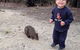 The Patriarch Wildlife Sanctuary Camping Ground - thumb 2
