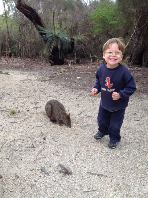The Patriarch Wildlife Sanctuary Camping Ground - Kawana Tourism 2