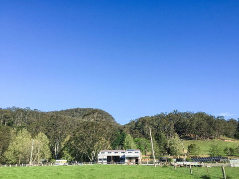 The Shed - Broger's End - Kawana Tourism 0