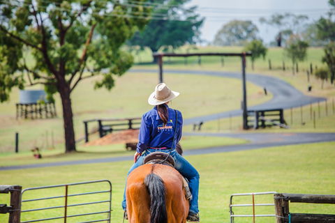 Tobruk Sydney Farm Stay - Kawana Tourism 0